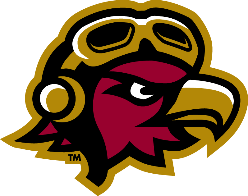 Louisiana-Monroe Warhawks 2006-Pres Misc Logo v4 diy fabric transfer
